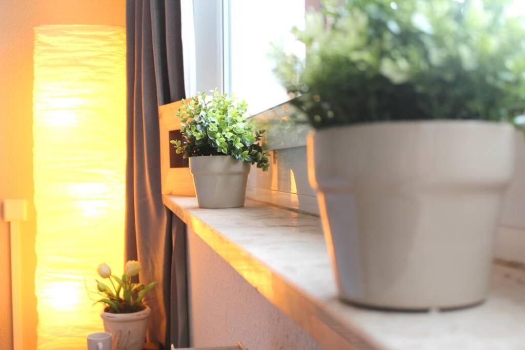 Apartment Bella Chemnitz  Exteriér fotografie